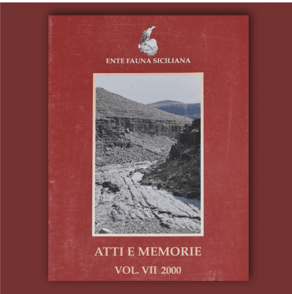 ATTI E MEMORIE Vol. VII 2000 _ Fronte