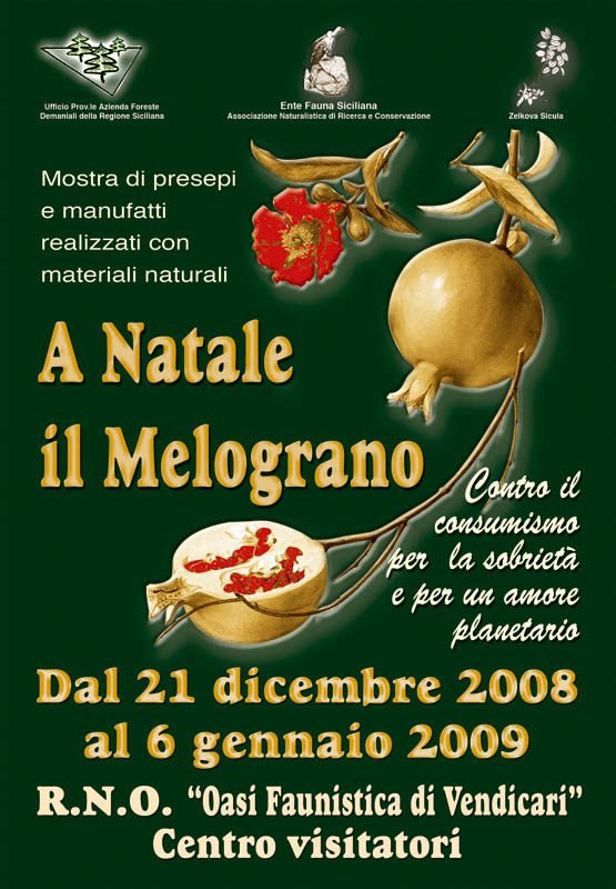 VII^ edizione "A Natale il Melograno"