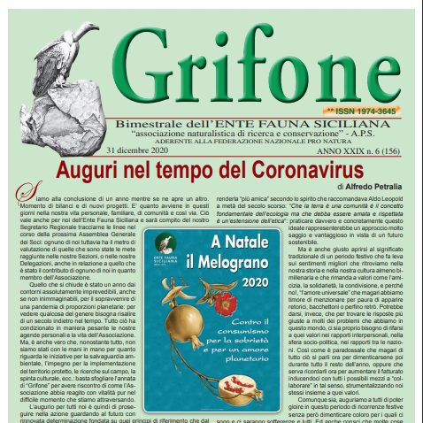 Grifone 156 anno XXIV n. 6